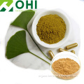 Ginkgo Leaf Extract powder